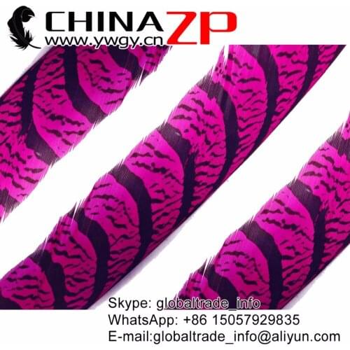 CHINAZP Feathers Prime Quality 50 Pieces 32~36inch(80~90cm) Long Bright Color Hot Pink Zebra Lady Amherst Pheasant Tail Feathers