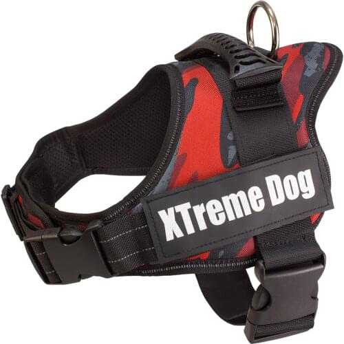 Arquivet Products For Dogs