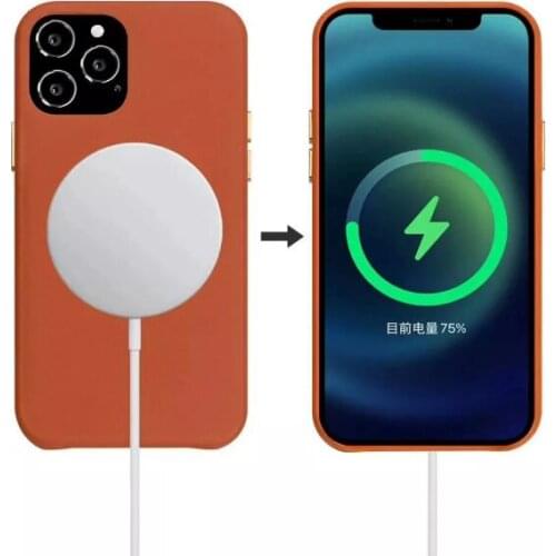 Real Leather Case Voor Iphone 12 Pro Cases Magnetische Luxe Draadloze Lading Cover Voor Iphone 12 Pro Max Mini