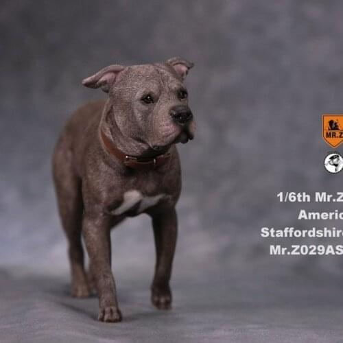 In Stock 1/6 American Staffordshire Terrier Posture 12 inches Action Figure Accessories Collections Model NO. 29