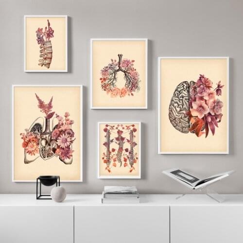 Nordic poster medical wall art human anatomy canvas painting retro lung skull spine and print wall picture for living room