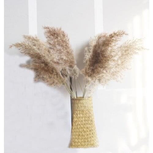 10pcs Free shipping real dried pampas grass decor wedding flower bunch natural plants decor