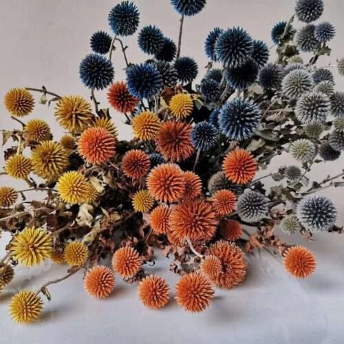 Blue Planet Dried Flowers DIY Bouquet Wedding Christmas Home Decoration Real Plants Fresh-keeping High-quality Photography Props