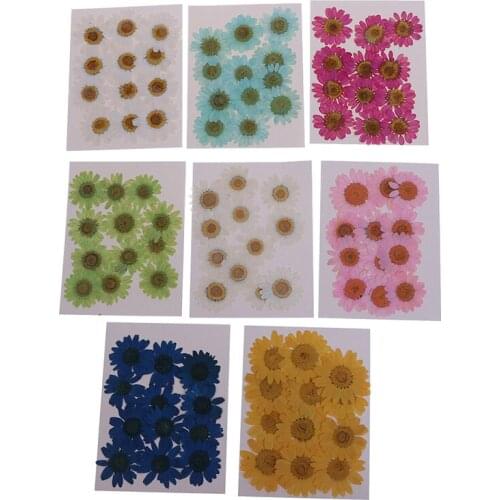 12pcs Natural Pressed Decorative Dried Flower Material Artificial Dried Flowers DIY Jewelry Making Phone Case Accessories