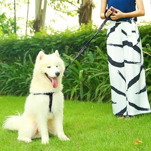 Pet Harness Leash Set Puppy Cat Vest Harness Collar For Chihuahua Pug Bulldog Cat Dot Print Portable Dog Walking Leash Pet Leash