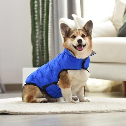 Winter Warm and Comfortable Pet Dog Clothes Stylish Adjustable Cotton Jacket Suitable for Chihuahuas Small and Medium-sized Dogs