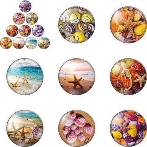 New Sea Horses Starfish Seashells 10pcs Mixed 12mm/20mm/25mm/30mm Photo Glass Cabochon Demo Flat Back Making Findings