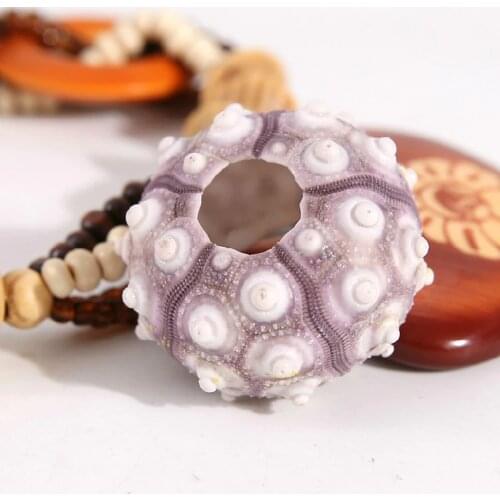 HappyKiss natural 1pcs sea Urchin Star fish Natural Mini Sea Urchins DIY sea shells home party wedding