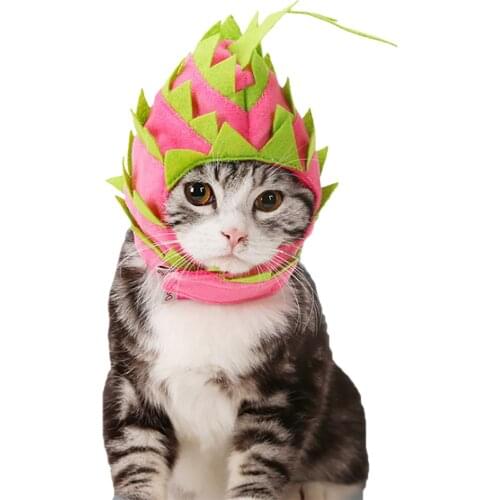 Pet Clothes Cosplay Pet Costume Decorative Accessory Pet Hat Cat Hat Cap for For Halloween Small Medium Dog New Arrival