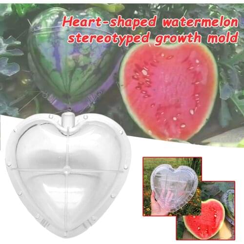 Garden Supplies Forming Shaping Fruit Plant Growing Tray Transparent Big Size Tool Heart Square Watermelon Growing Mold