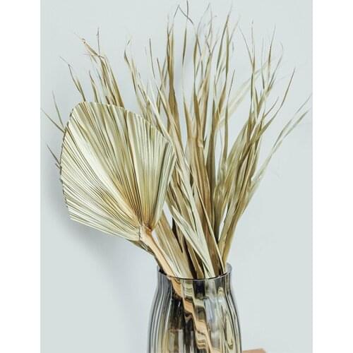 Natural Plant Palm Leaves Home Room Decor DIY Dried Flower For Party Art Wall Hanging Wedding Window Decoration Arch Arrangement