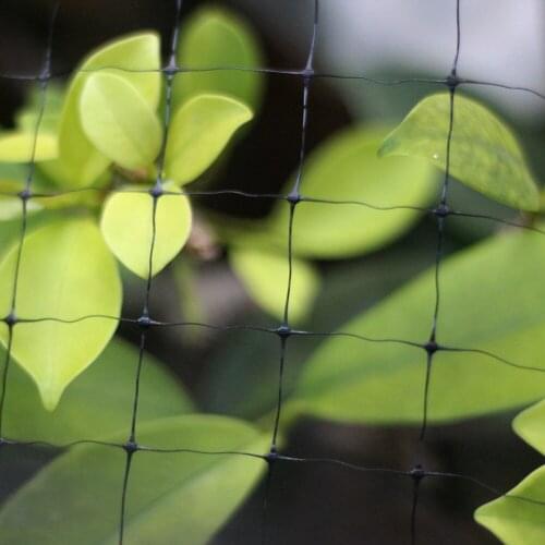 Polyethylene Anti Bird Netting Pond Net Feer Fence Mesh Farm Netting Rabbit Fence Anti Bird Feer Mesh Garden Plants Protect