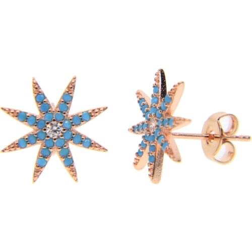 Real Blue Turquoises Stone Rose Gold Sliver Color Star Stud Earring For Women Wedding Party Jewelry Small Earring Anise Star