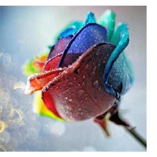 5D Diamond Painting Flowers Rhinestone Cross Stitch Embroidery Gift Colorful Rose Diamond Mosaic Picture Home Decoration