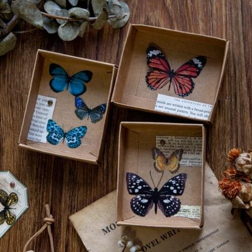 3 Sheets/Bag Vintage Butterfly Specimen PET Stickers Package DIY Diary Journal Decoration Label Sticker Album Scrapbooking