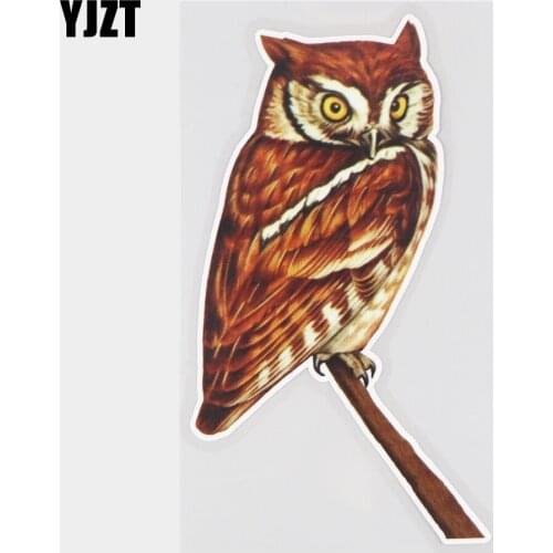 Ручные фонари YJZT China At AliExpress