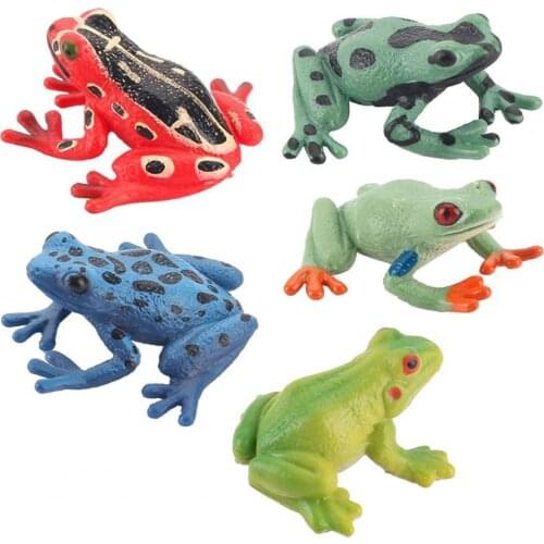Frog Model Smell-less Solid PVC Realistic Frog Figure for Home