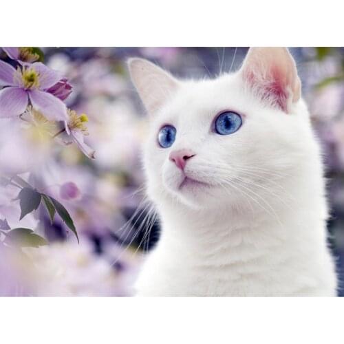 5D DIY Diamond Painting white Cat Diamond Embroidery cute kitten Full drill Picture Of Rhinestone Mosaic Flower Decoration Home