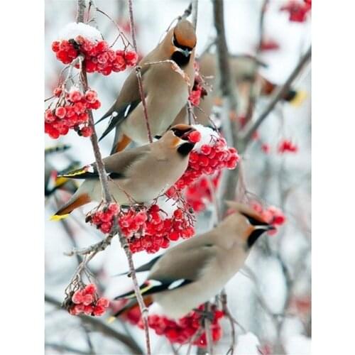 Bird Flower DIY Embroidery Cross Stitch 11CT Kits Craft Needlework Set Printed Canvas Cotton Thread Home Decoration Wholesale
