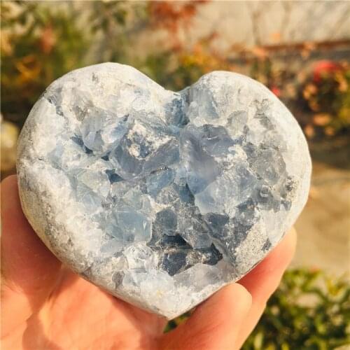 1pc rough Natural raw Shark tooth Mineral specimen remote antiquity crystal stone for decorative