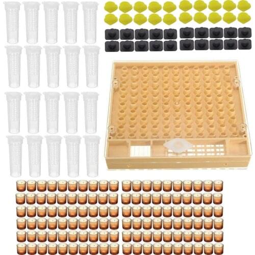 1set bee tools kit queen rearing system complete new cupkit box cells protective cover plastic bees equipment cages supplies