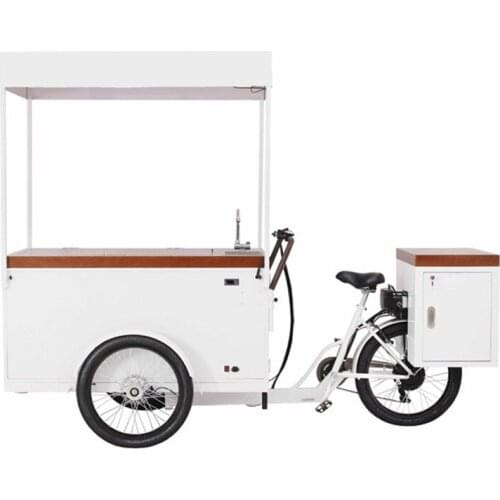 Street outdoor solar electric&pedal freezer bike with battery