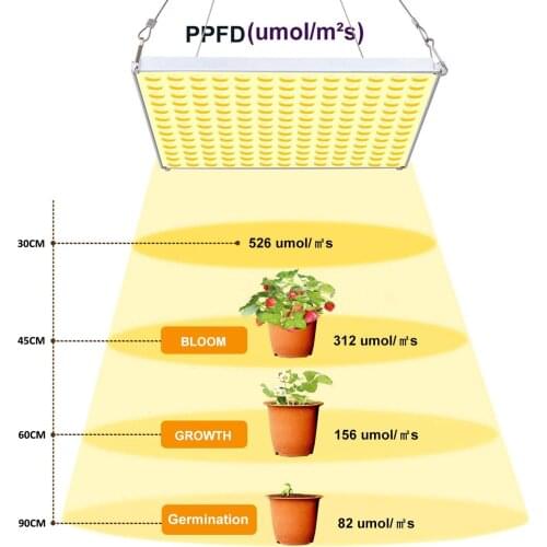 75W Sunlight Led Grow Light Full Spectrum Warm White Indoor Lighting Phyto Lamp For Plant Grow Cultivo Seeds Grow Tent Fitolamp