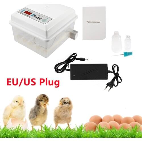 EU US Plug Stock Eggs Incubator 16 Eggs Digita Mini Automatie Incubatores for Hatching Turkey Goose Quail Chicken Egg Hatching