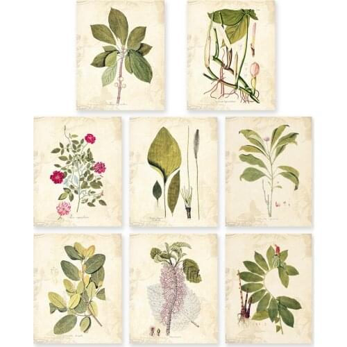 Vintage Green leaves aromatique and floral style art prints 8 in 1 unframed