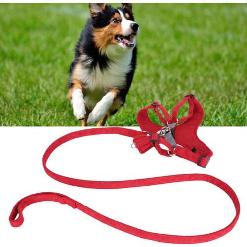 Greensen Collars