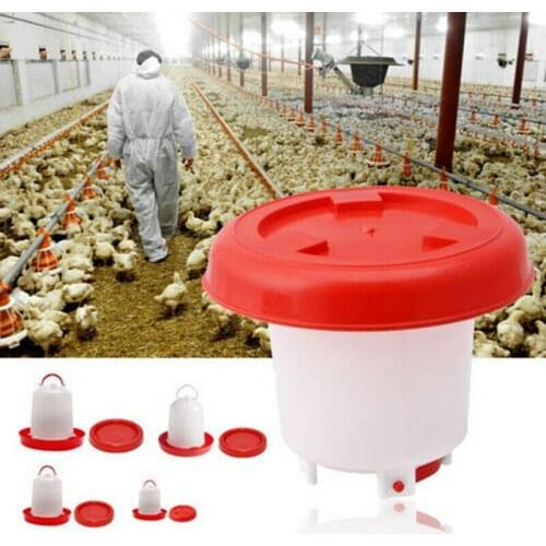 1.5/2.5/4 L Quail Drinking Cups Chicken Birds Pheasant Feeders Waterer Automatic drinking tool Farm Tools Pigeon Waterers