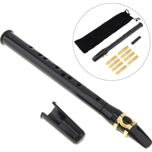 8 Hole Portable Mini Black Little Saxophone Pocket Sax with Sax Reeds Carrying Bag for Beginners