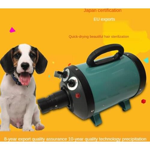 2800W Power Hair Dryer For Dogs Pet Cat Grooming Blower Warm Wind Secador Fast Blow Small Medium