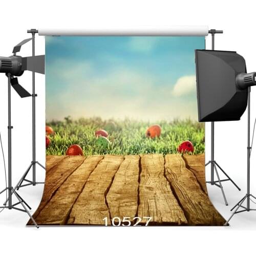Photography Backdrops Bokeh Easter Eggs Green Grass Nature Scene Nostalgia Stripe Wooden Floor Background