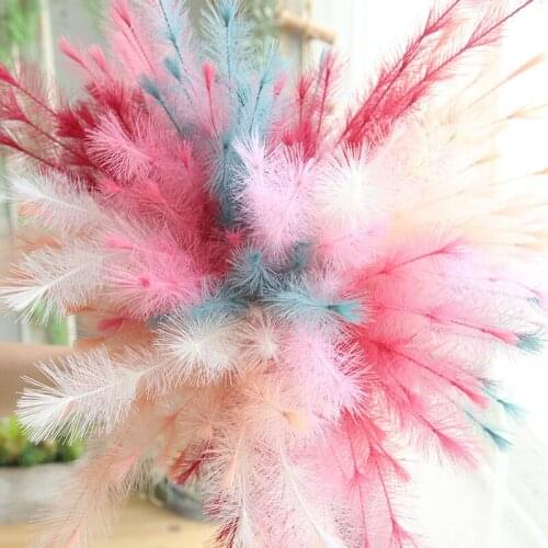 5 pcs Colorful pampas grass phragmites artificial dried flowers wedding home decor natural bouquets of dried flowers eucalyptus