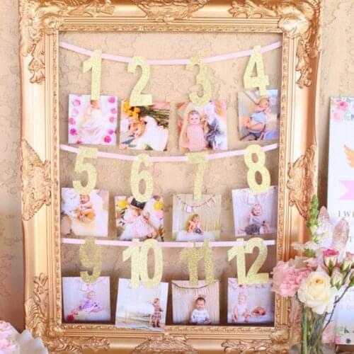 Gold/Pink Milestone Photo Banner Boy Girl 1-12 Month Photo Bunting Garland Baby Shower 1st First Birthday Party Decorations