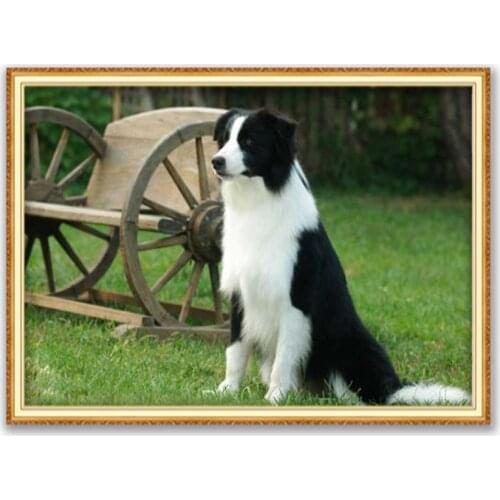 Animal Border Collie DIY Embroidery 11CT Cross Stitch Kits Needlework Craft Set Printed Canvas Cotton Home Decoration Wholesale