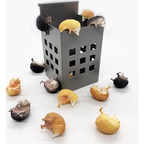 3pcs Japan original capsule toys cute pets mini Hedgehog PUTITTO glass gashapon figures desktop Kids Toy