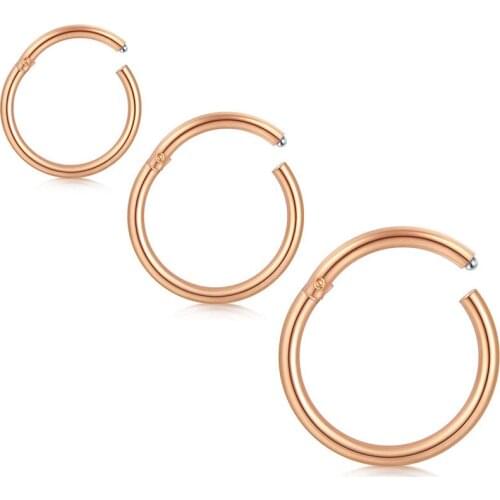 18G Nose Rings Hoop Hinged Segment Clicker Rings for Nose Piercing Septum Rings Daith Earrings Hoop Helix Ear Piercing