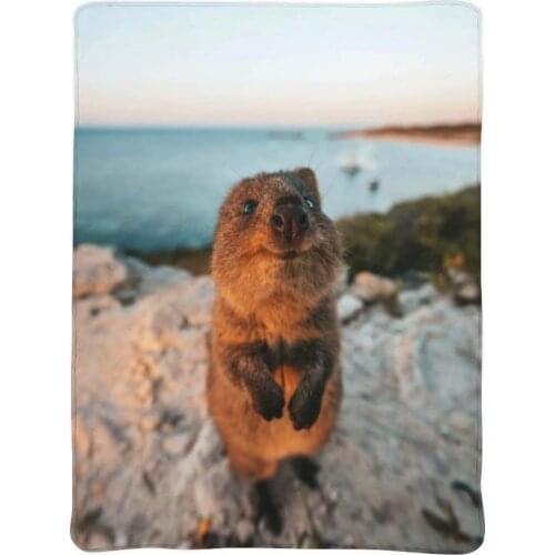Cute Smile Quokka Blanket,Outdoor Blankets for Sofa Relax Napping Sleeping Throw Flannel Bedding Novelty Gift 50""X40"" for Kids