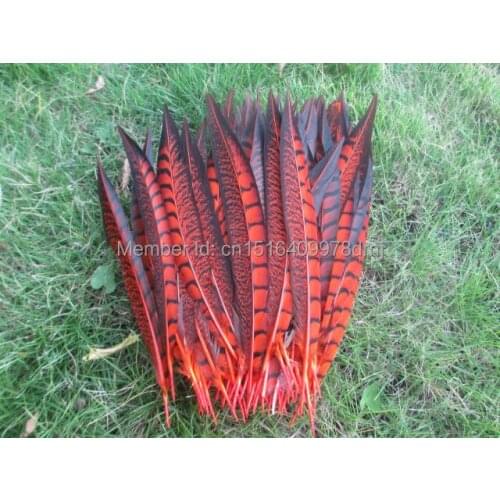 Wholesale 100 pieces long 25 to 30 cm orange pheasant feather development center for wedding dance celebration DIY decoration