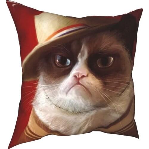 Angry cat soft flannel sofa decoration and household cotton pillow cover sofa seat decoration car pillow cover