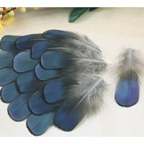 50pcs/lot natural Pheasant Feather costumes dance party wedding hat Decorative materials 4-10CM