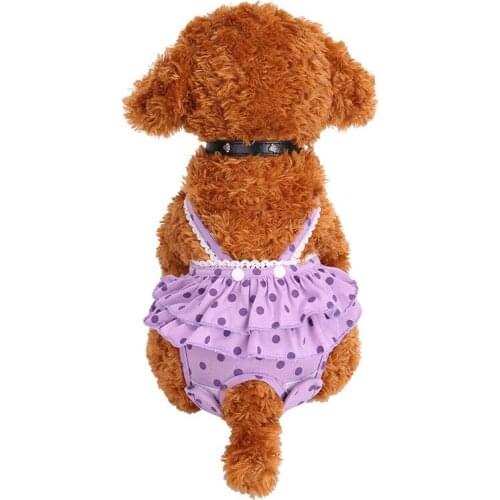 Dots Cute Dress Pet Dog Physiological Pants Puppy Girls Dress Sanitary Brief Panties Washable Dogs Diapers Sanitary Skirts