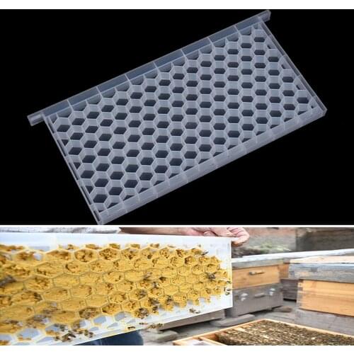 1PCS Beekeeping New Design Multifunction Multihole Powder Feeder Honey Drinker Feeding Tools Plastic Box Nest Bee Tools Supplies