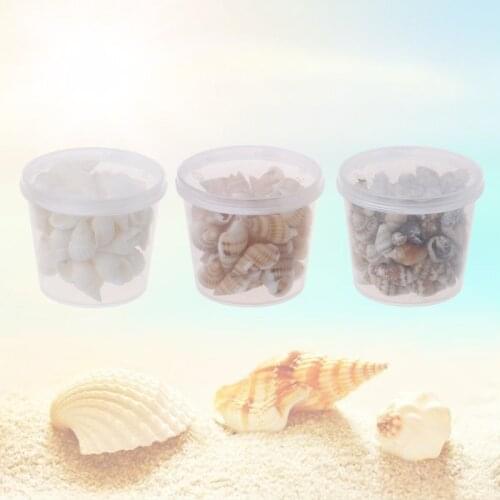 Natural Beach Seashell Starfish for Nautical Decor Or Jewelry Glass DIY Fillers