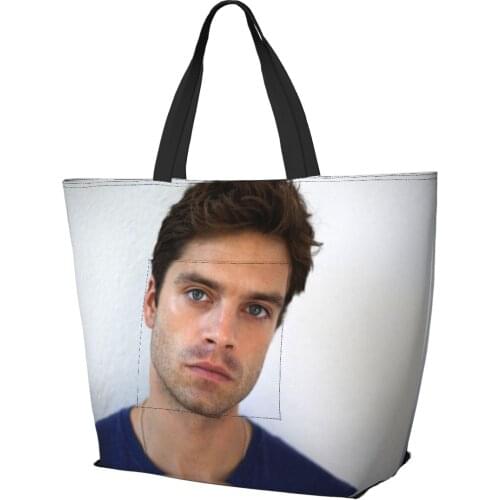 Sebastians Stan Bag Women Cheap Bag Falcon Ins tote Bag