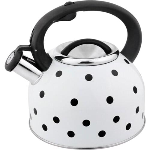 Hausroland Stainless Steel Whistling Boiler Home Using New Color Dot Coffee Tea Kettle GS-04016
