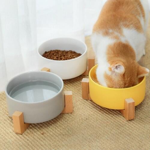 HOOPET Cat Bowl Ceramic Dish Puppy Food Feeding and Drinking Bowls for Dogs Cats Pet Supplies