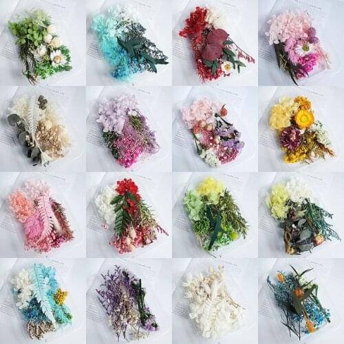 20g Mixed Dried Flowers Plants Leaves Material Packaging DIY Aromatherapy Candle Photo Frame Decoration Supplies